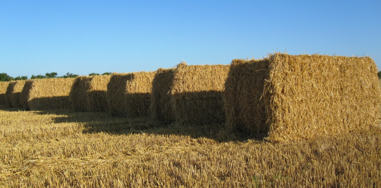 Measure moisture levels with precision.