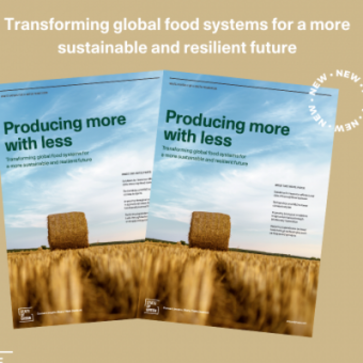 DSE is on the ESG path - now in State of Green Whitepaper