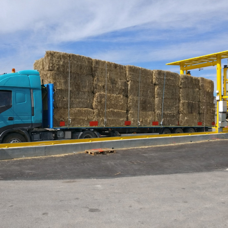 Moisture scanning system for trucks