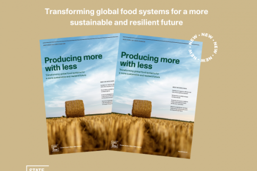 DSE is on the ESG path - now in State of Green Whitepaper